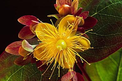 《战地2042》DICE采访：玩家可以坐火箭 会解决看不见人问题